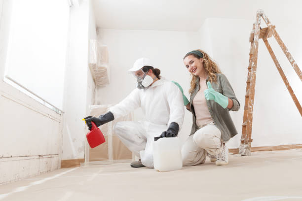 Best Mold Remediation for Rental Properties  in Kamas, UT